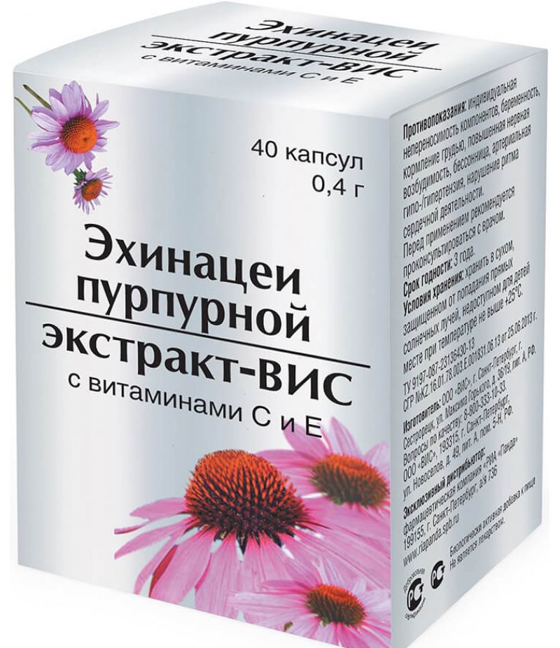 Echinacea Purple Extract-VIS caps 0.4gr #40